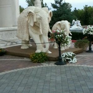 Meet your Posher, Kieran